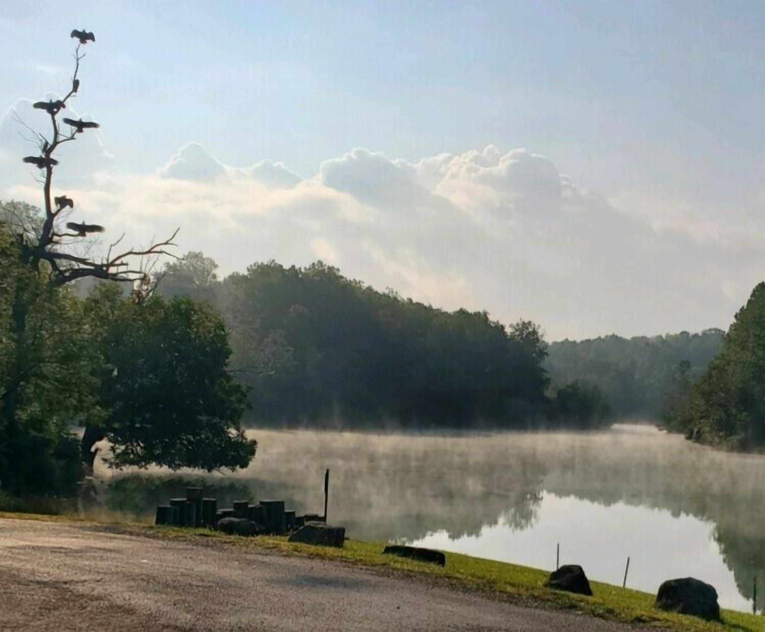 Una escena serena junto al lago, con cielo despejado, agua tranquila y orilla bordeada de árboles.