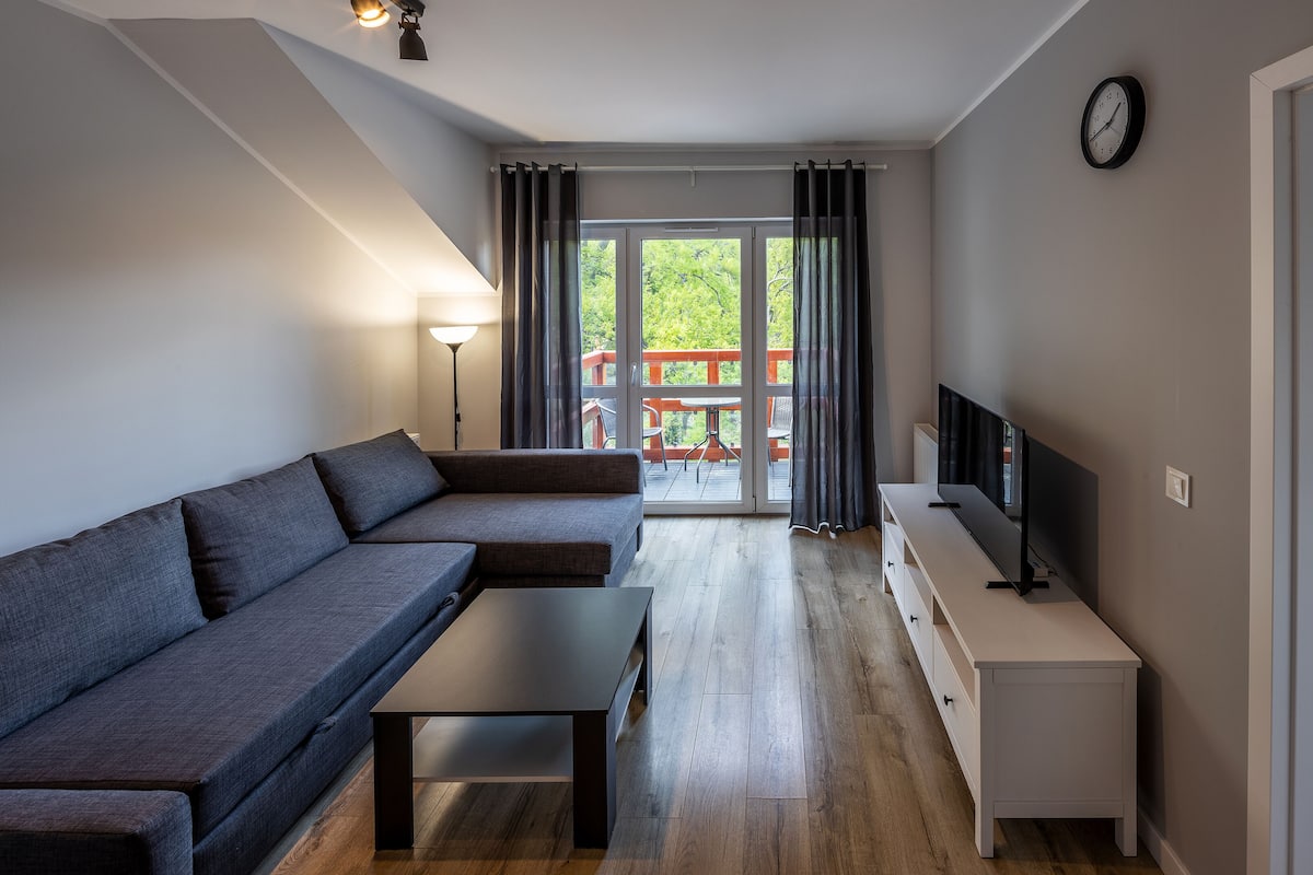 Apartment (49) | Living room | Flat-screen TV