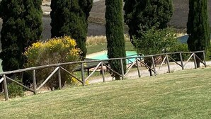 A grassy area with tall cypress trees and a wooden fence. - STAFFOLINO Apartment 1                                        (siena)