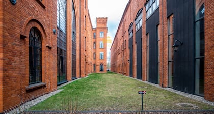 Dream Aparts - Lofty Scheiblera