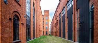 Dream Aparts - Lofty Scheiblera