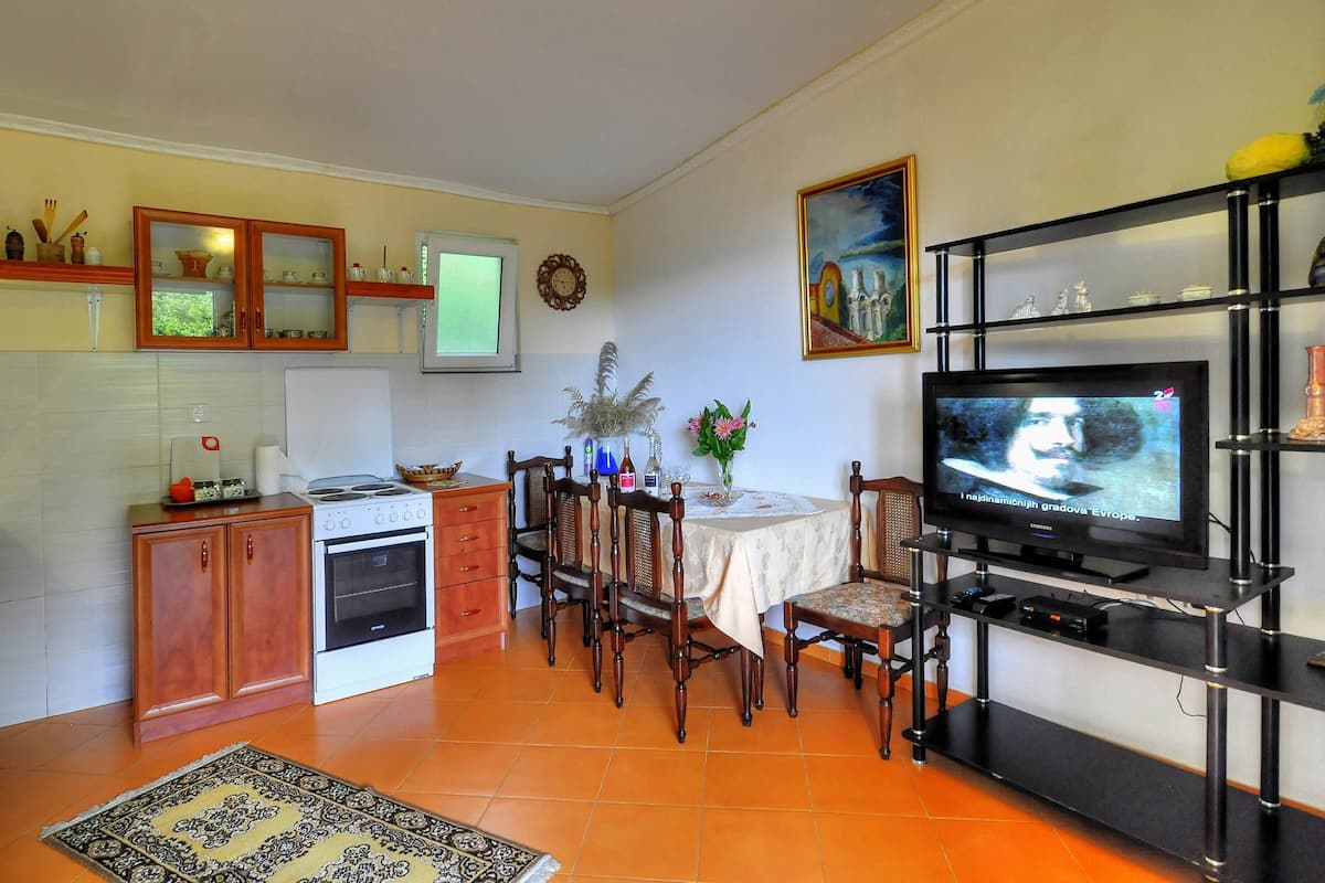 Basic Apartment | Private kitchen | Fridge, oven, stovetop, electric kettle