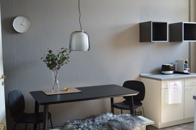 Apartment Pureney- Stadtmitte- Whg. 3