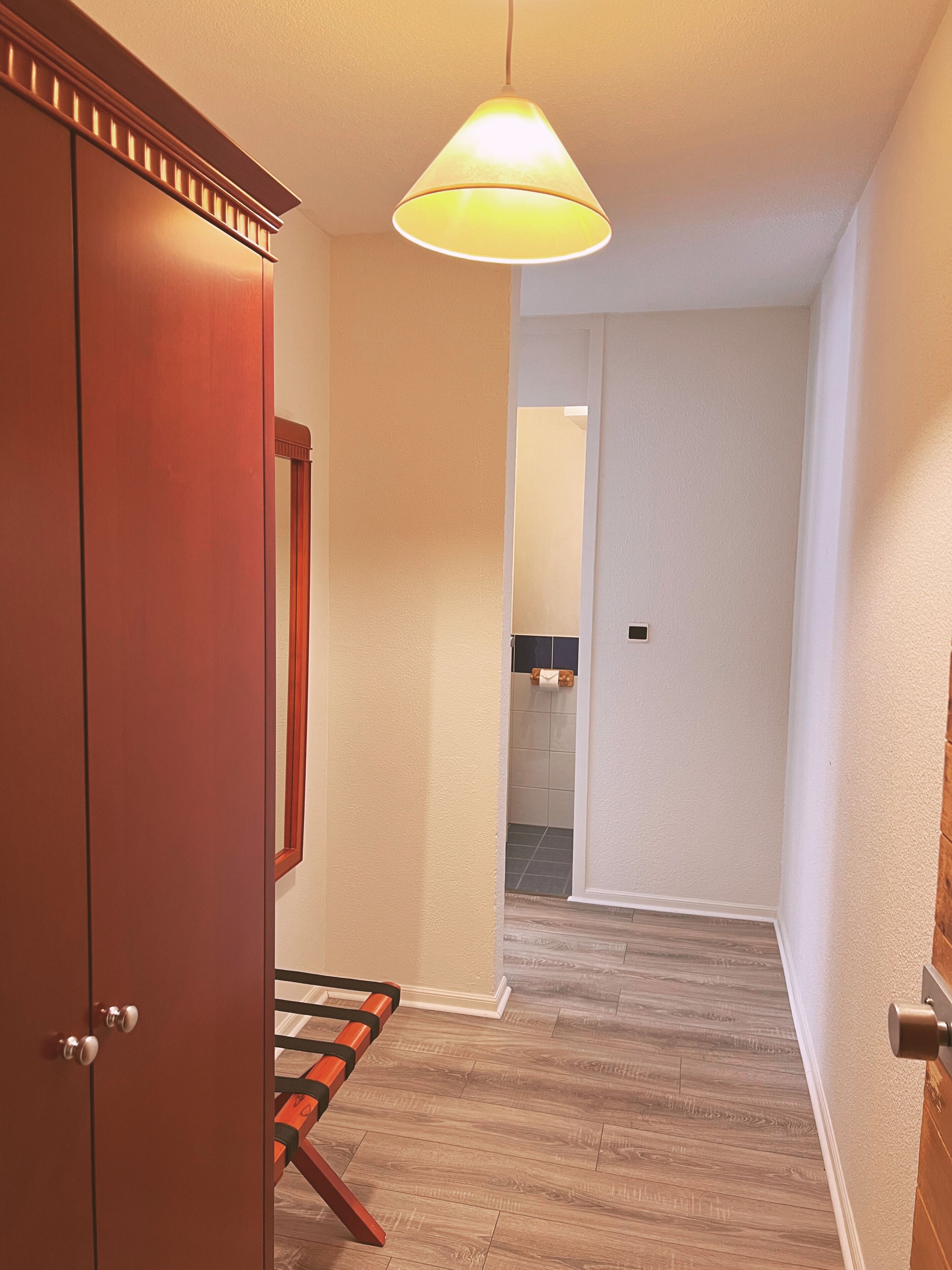 A hallway with wooden flooring, a hanging light fixture, and a door with a mirror.