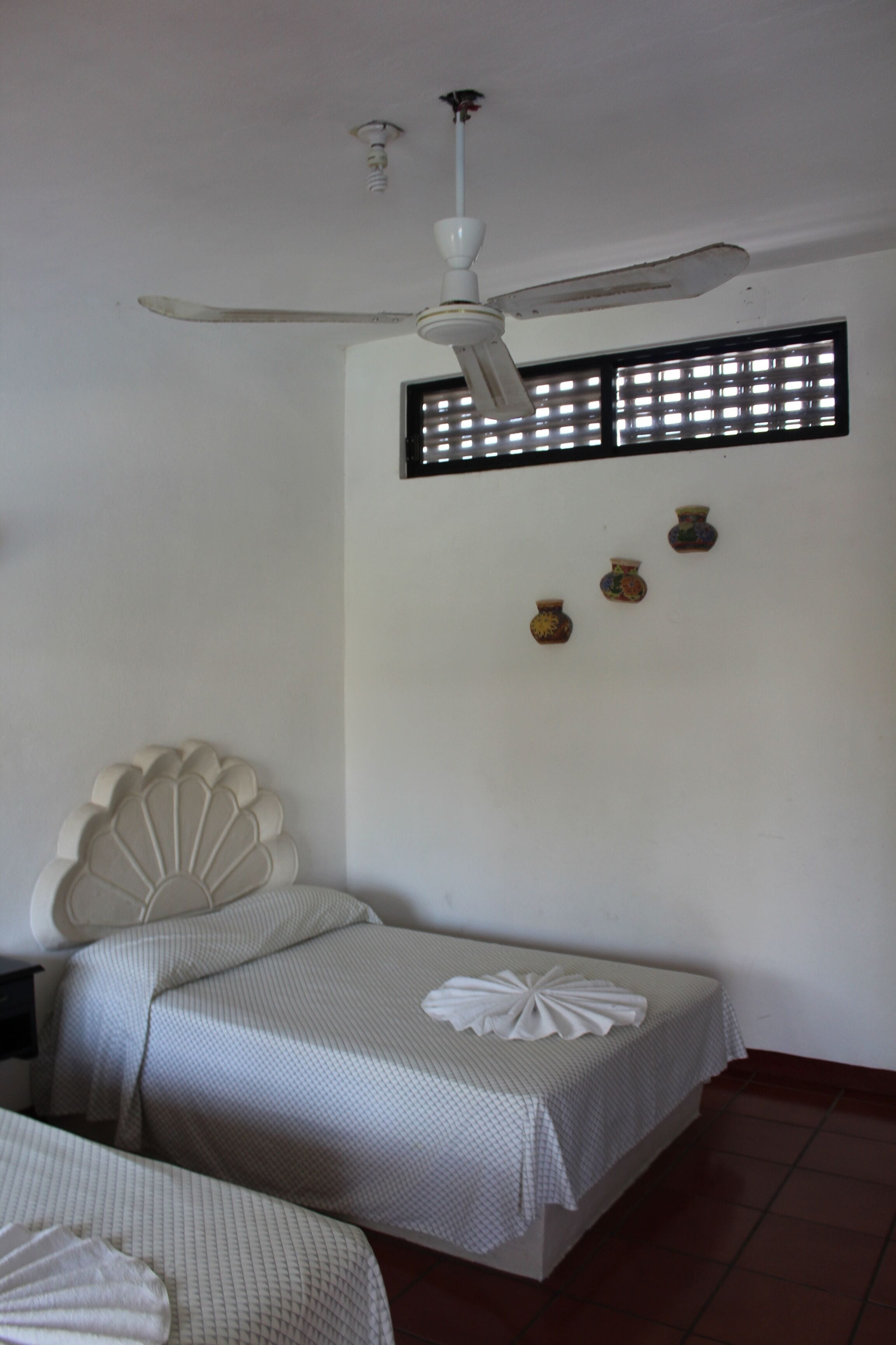 Photo - Hotel Albatros