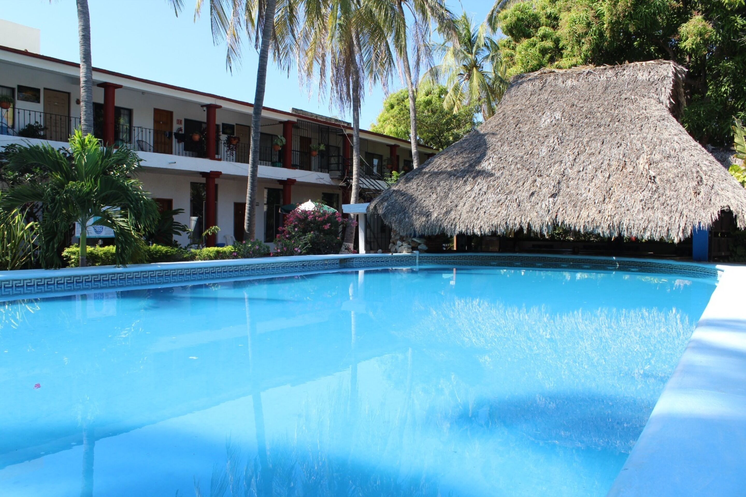 Photo - Hotel Albatros