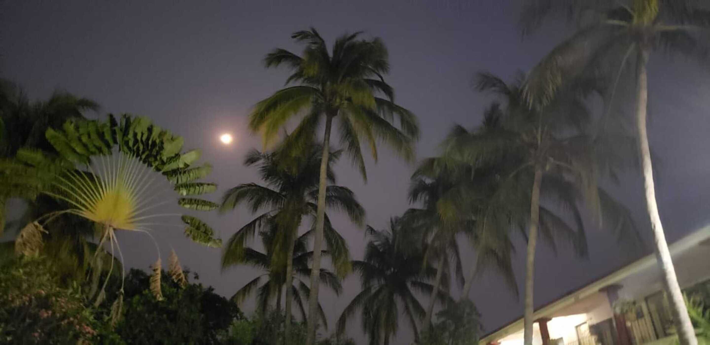 Photo - Hotel Albatros