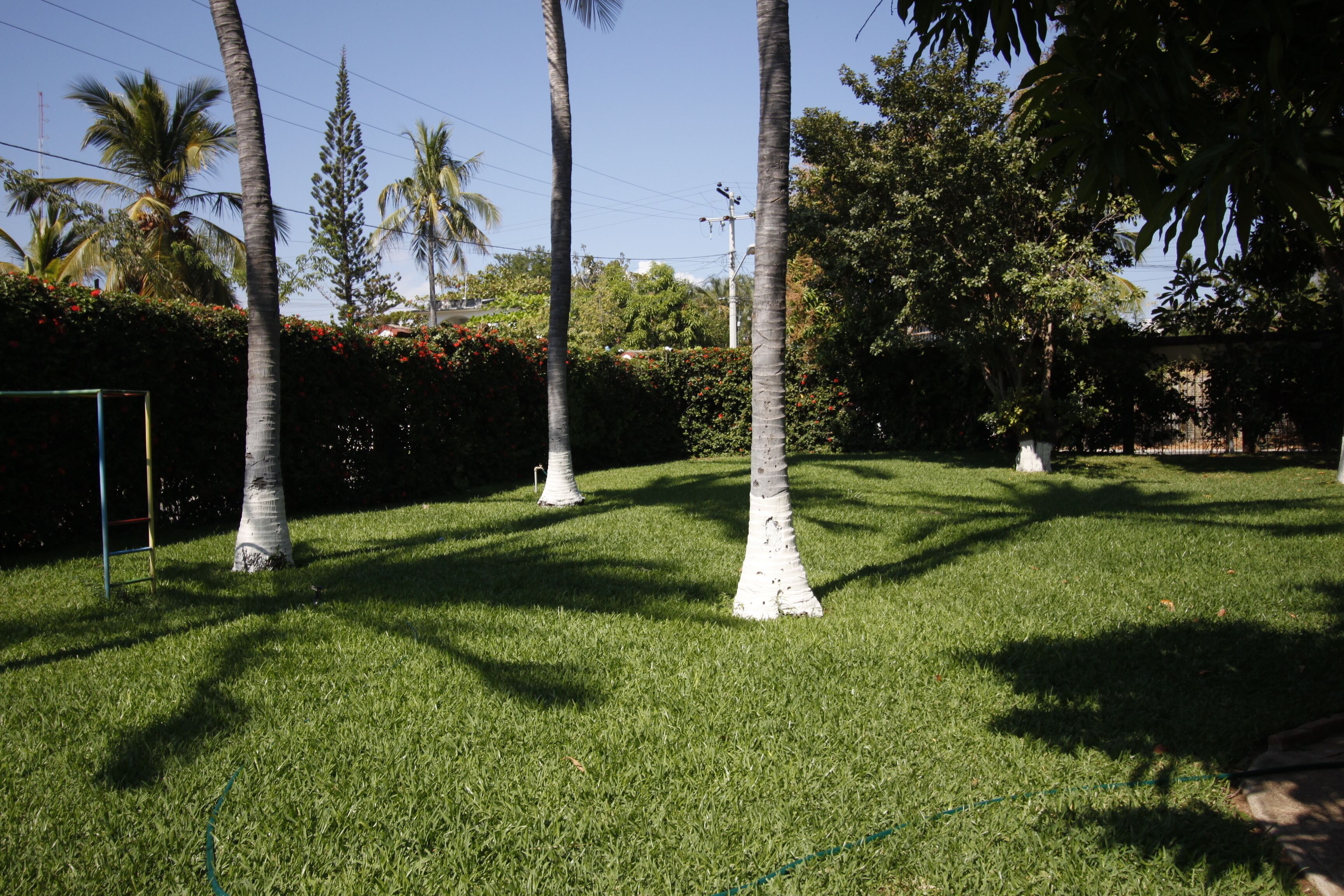 Photo - Hotel Albatros