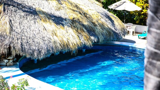 A swimming pool with a thatched roof overhead, surrounded by greenery and a few outdoor chairs. - Hotel Albatros (Puerto Escondido)