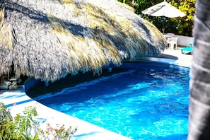 A swimming pool with a thatched roof overhead, surrounded by greenery and a few outdoor chairs. - Hotel Albatros (Puerto Escondido)