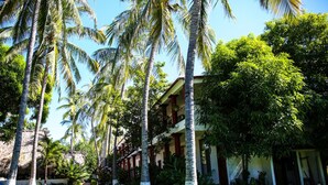A tropical resort with palm trees, a well-maintained lawn, and a building with a balcony. - Hotel Albatros (Puerto Escondido)
