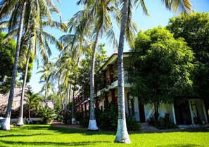 Garden - Hotel Albatros (Puerto Escondido)
