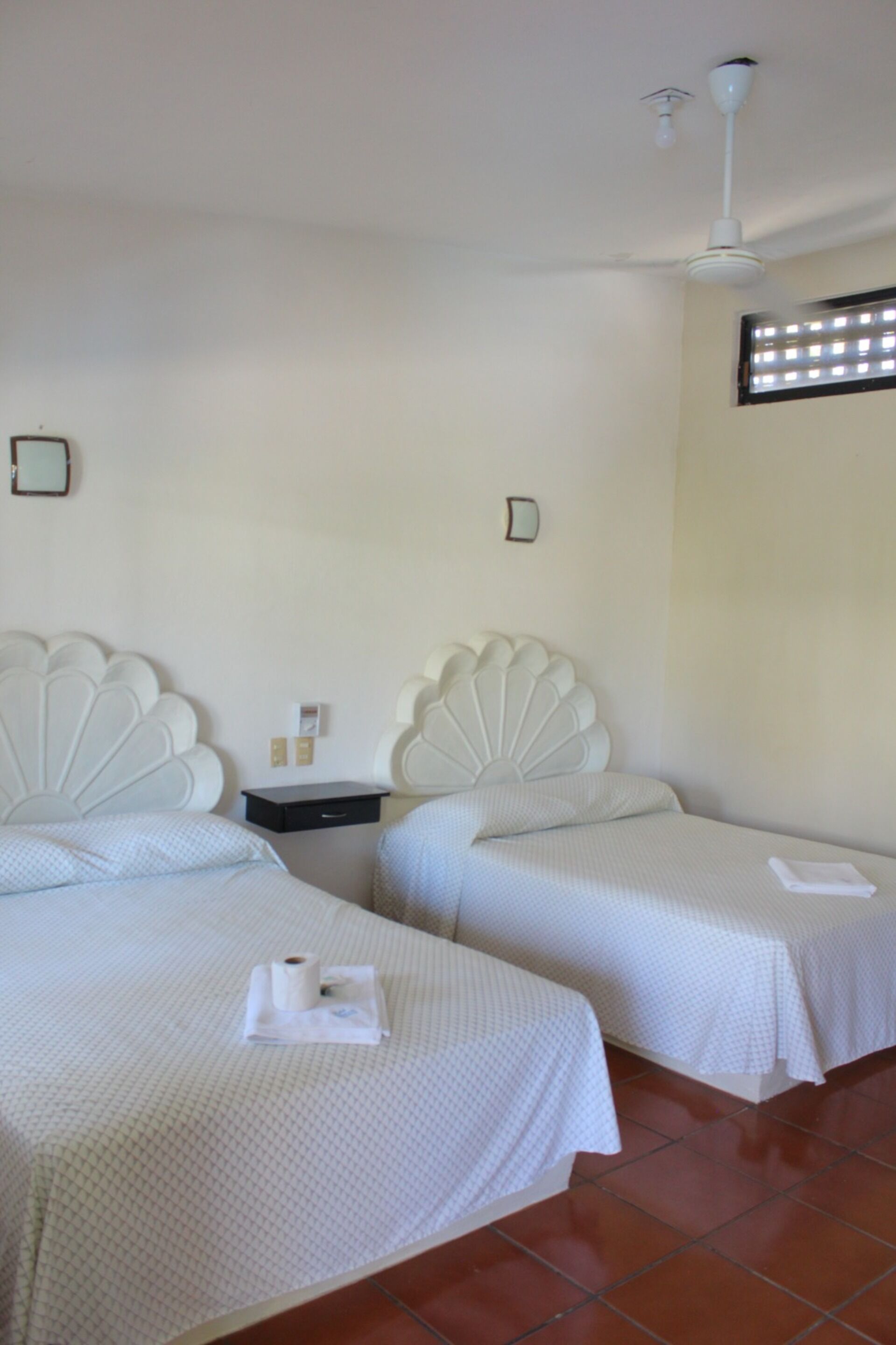 Photo - Hotel Albatros