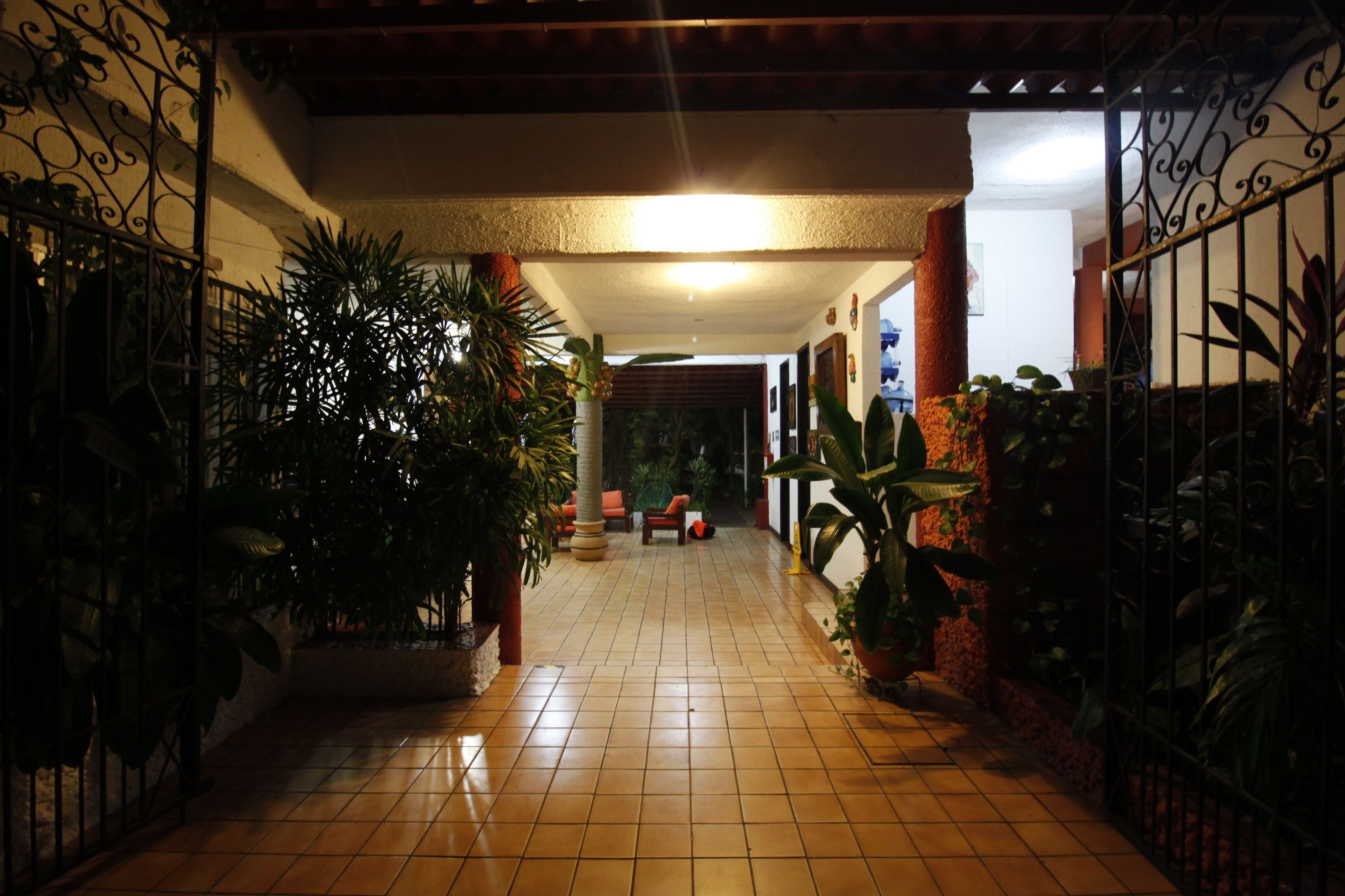 Photo - Hotel Albatros