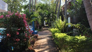 A pathway lined with palm trees and lush greenery, leading to a building with a red roof. - Hotel Albatros (Puerto Escondido)