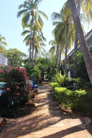 Exterior - Hotel Albatros (Puerto Escondido)