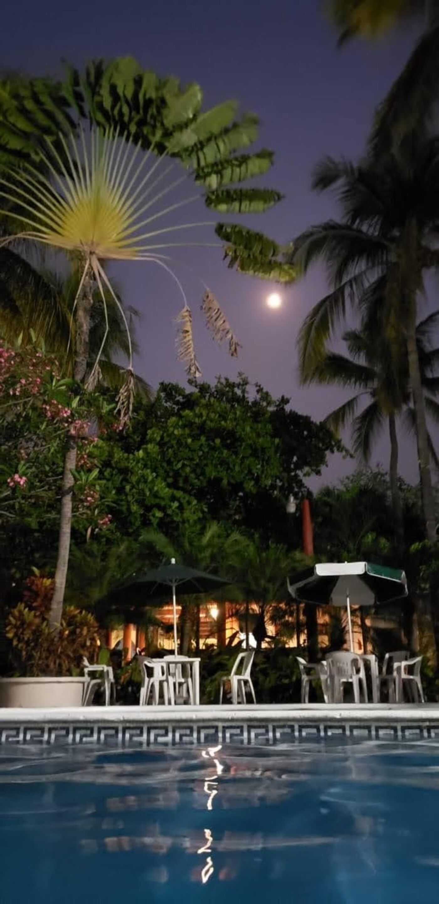 Photo - Hotel Albatros