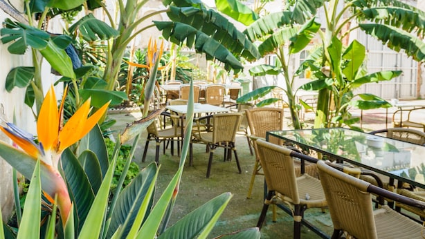 An outdoor patio with wicker furniture and tropical plants. - Hotel Carlos V by Viverestays (Jerez de la Frontera)