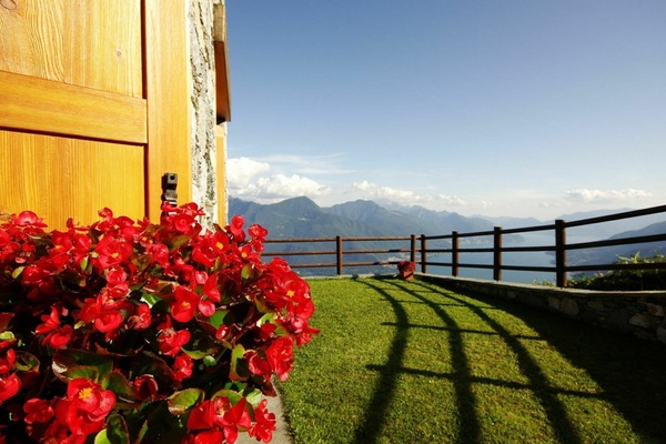 Fleur, Ciel, Plante, Propriété, Bâtiment, Clôture, Architecture, Lumière Du Soleil, Pot De Fleur, Herbe