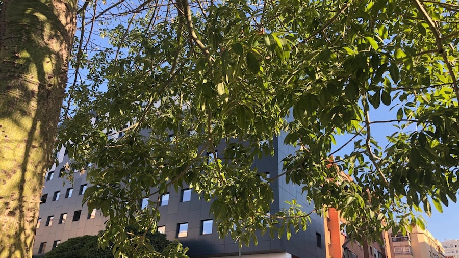 easyHotel Málaga City Centre