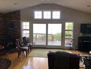 TV, fireplace, books, video library