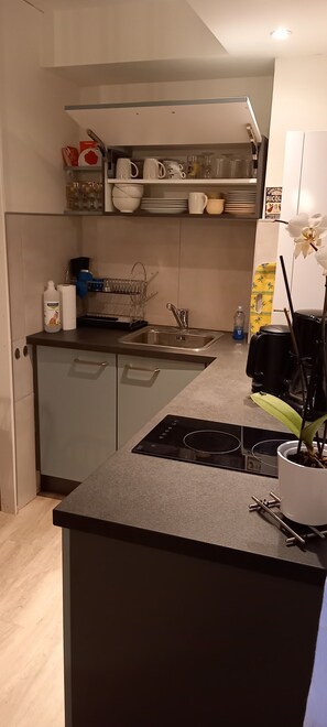 Een koelkast, een microgolfoven, een oven, een kookplaat