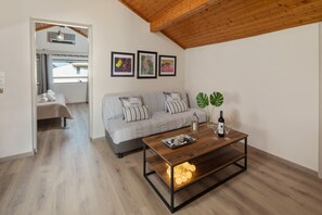 TV, fireplace, video-game console, DVD player