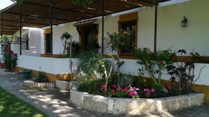 Un espace extérieur abrité, avec un bâtiment blanc, des plantes en pot et un bac en béton orné de fleurs.
