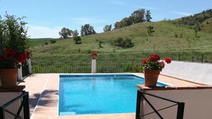 Une piscine rectangulaire à l’eau d’un bleu limpide, entourée d’une terrasse carrelée. De part et d’autre de la piscine, on trouve deux plantes en pot ornées de fleurs rouges.