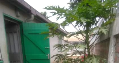 Murbs Hostel
