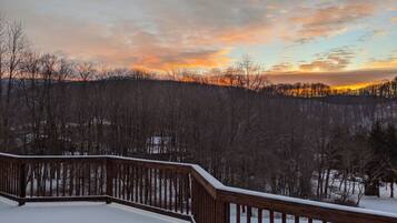 Enjoy breathtaking views of the forest from this deck overlooking the snow-covered landscape.