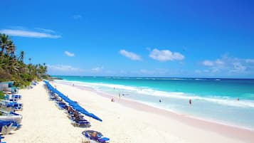 Plage à proximité, chaises longues, serviettes de plage