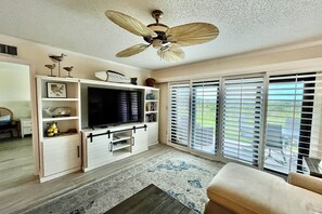 TV, DVD player, ping pong