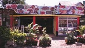 A building with a colorful facade and a garden in front. - Comfy Bar And Restaurant (Nairobi)
