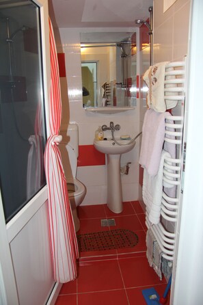 Hair dryer, towels, soap, shampoo