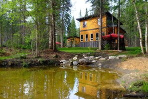 Exterior - The Stag Chalet,  new Sauna in the forest! Fast wifi! (Golden)