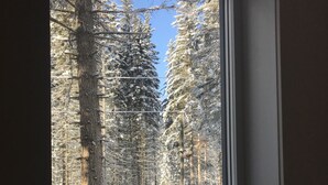 A window view of a snowy forest with tall trees and a clear blue sky. - The Stag Chalet,  new Sauna in the forest! Fast wifi! (Golden)