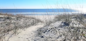 Beach - 5 bedrooms, 5 bathrooms. Oceanfront with oceanside screened in porch and pet friendly. (Brunswick)