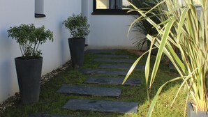 A modern building with a stone pathway leading to a window. There are two potted plants on either side of the pathway.