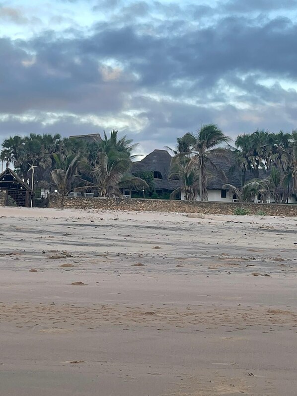 Una playa con palmeras y cabañas de techo de paja.