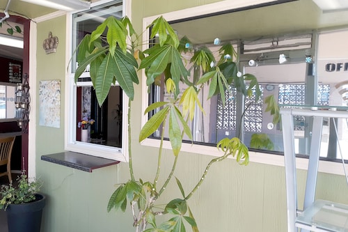 OYO Hotel Kings at Clovis