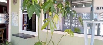 OYO Hotel Kings at Clovis