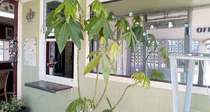 OYO Hotel Kings at Clovis