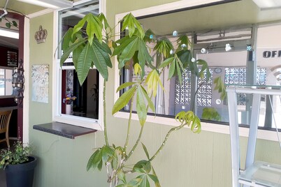 OYO Hotel Kings at Clovis