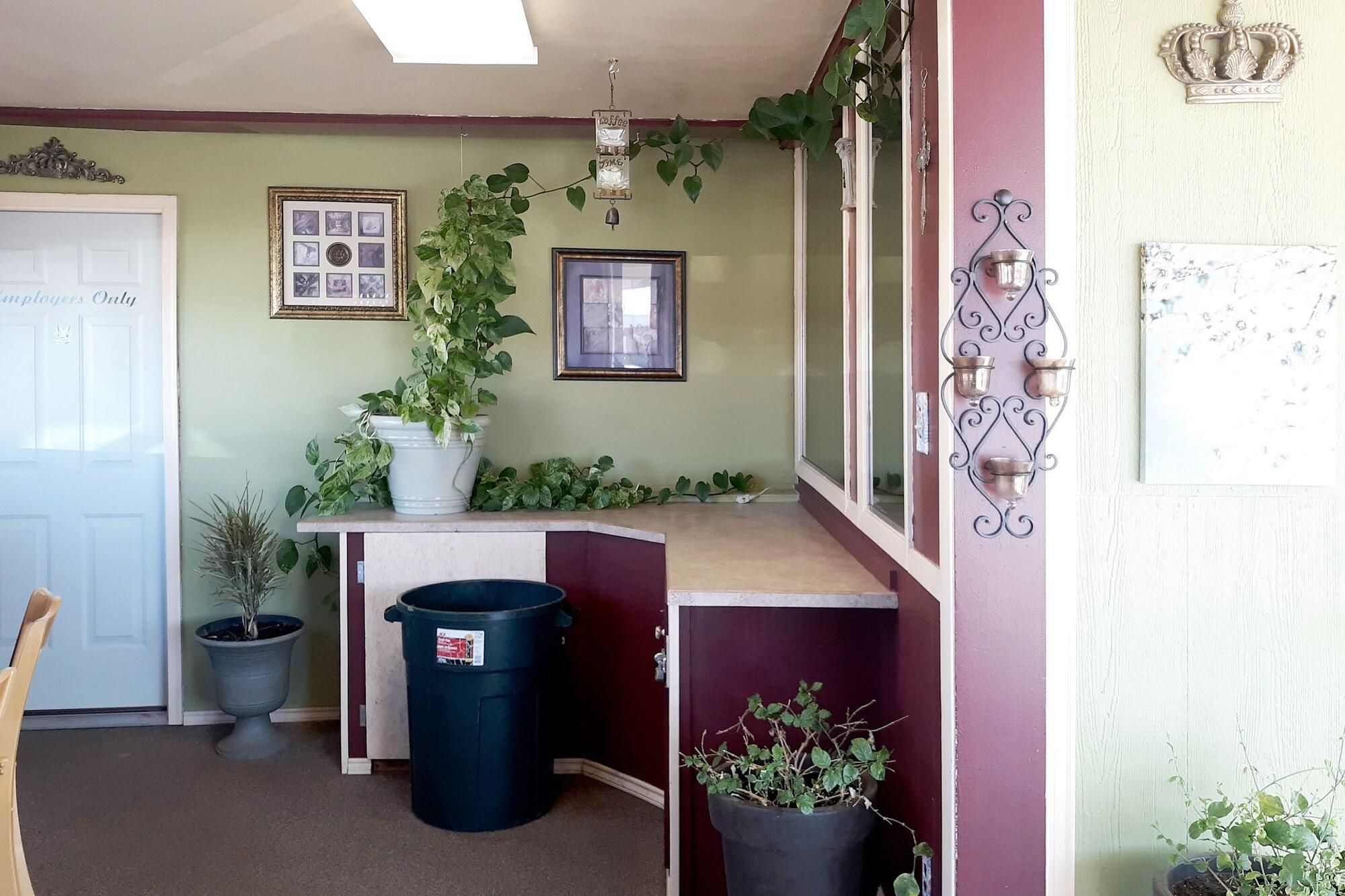 Une pièce avec une porte, une poubelle, une plante en pot et un mur orné de tableaux.
