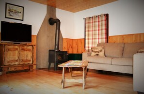 Smart TV, fireplace, DVD player, video library