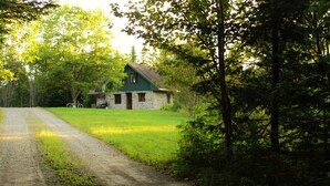 Ein rustikales Steinhaus mit einem grünen Dach, umgeben von einer grünen Wiese und dichtem Baumbestand.
