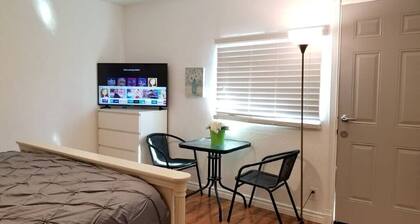 LARGE MASTER BED ROOM WITH PRIVATE ENTRANCE & BATH