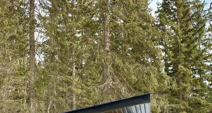 The Raven cabin and Sauna in the forest! Fast wifi!
