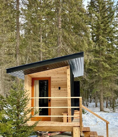 The Raven cabin and Sauna in the forest! Fast wifi!